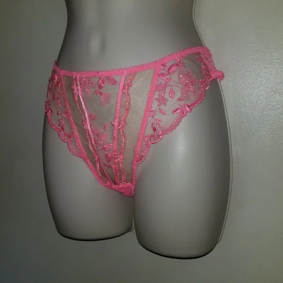 Honey Birdette Sabrina brief new